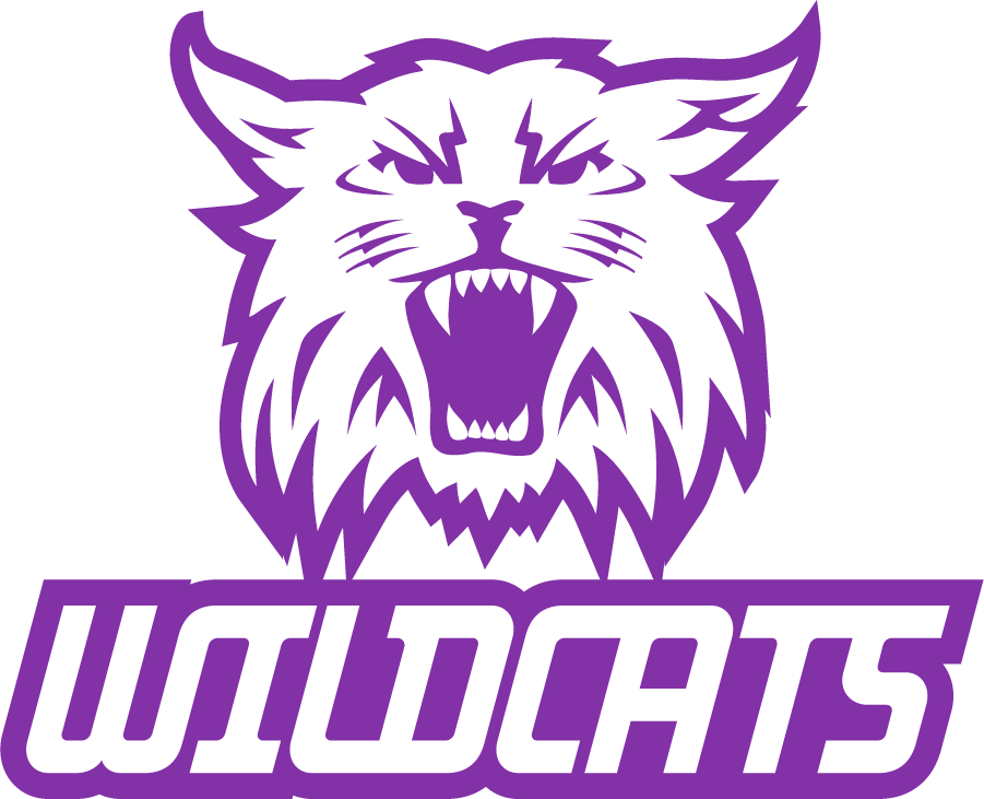 Weber State Wildcats 2008-2012 Secondary Logo v2 DIY iron on transfer (heat transfer)